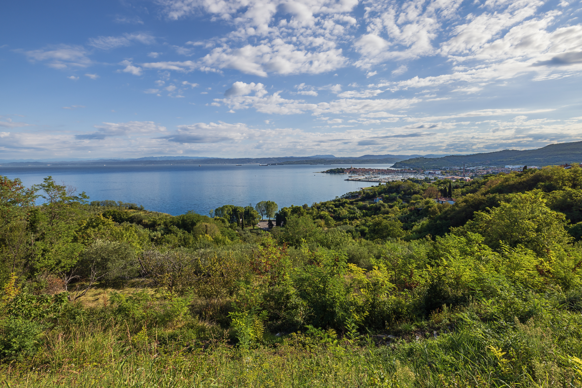 Izola je res prečudovit kraj tako za otroke kot tudi za odrasle